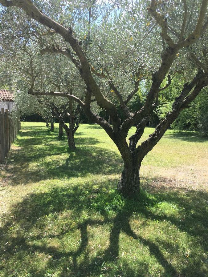 Les cabanes de Vallis Clausa Saumane-de-Vaucluse Extérieur photo